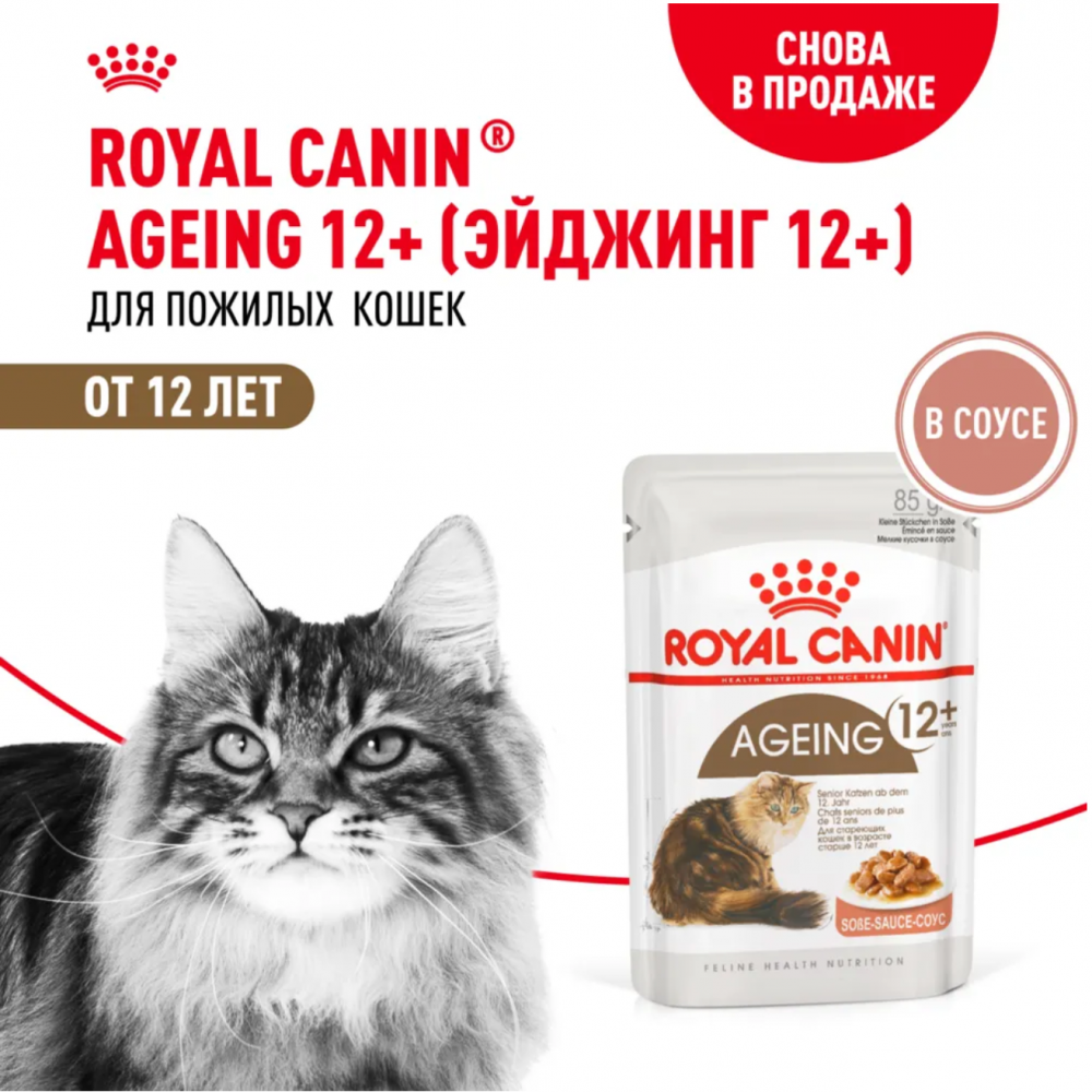 Влажный корм для кошек Royal Canin Ageing +12 кусочки в соусе старше 12 лет 85 г