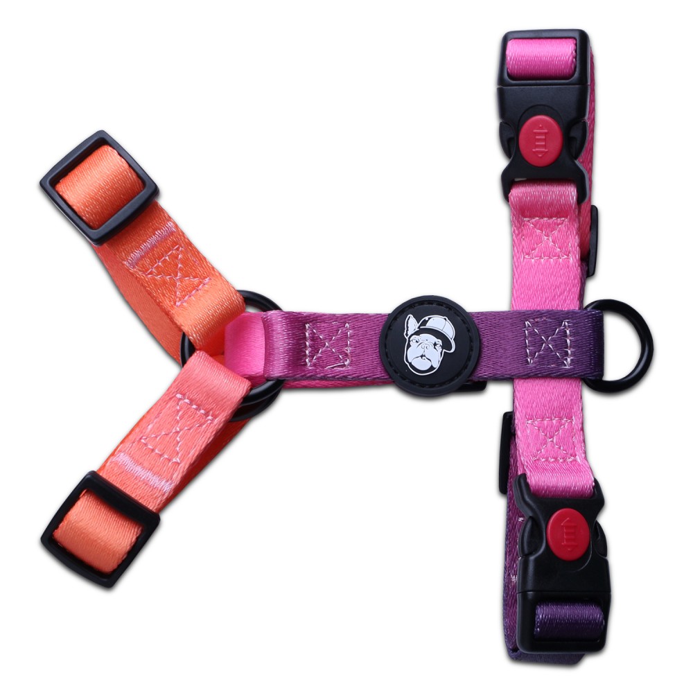 Шлейка LionPets LP23-7 (Размер L обхват груди 46-72 см, шея 38-58 см)