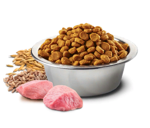 Сухой корм для собак Farmina ND низкозерновой для средник и крупных пород ягненок с черникой