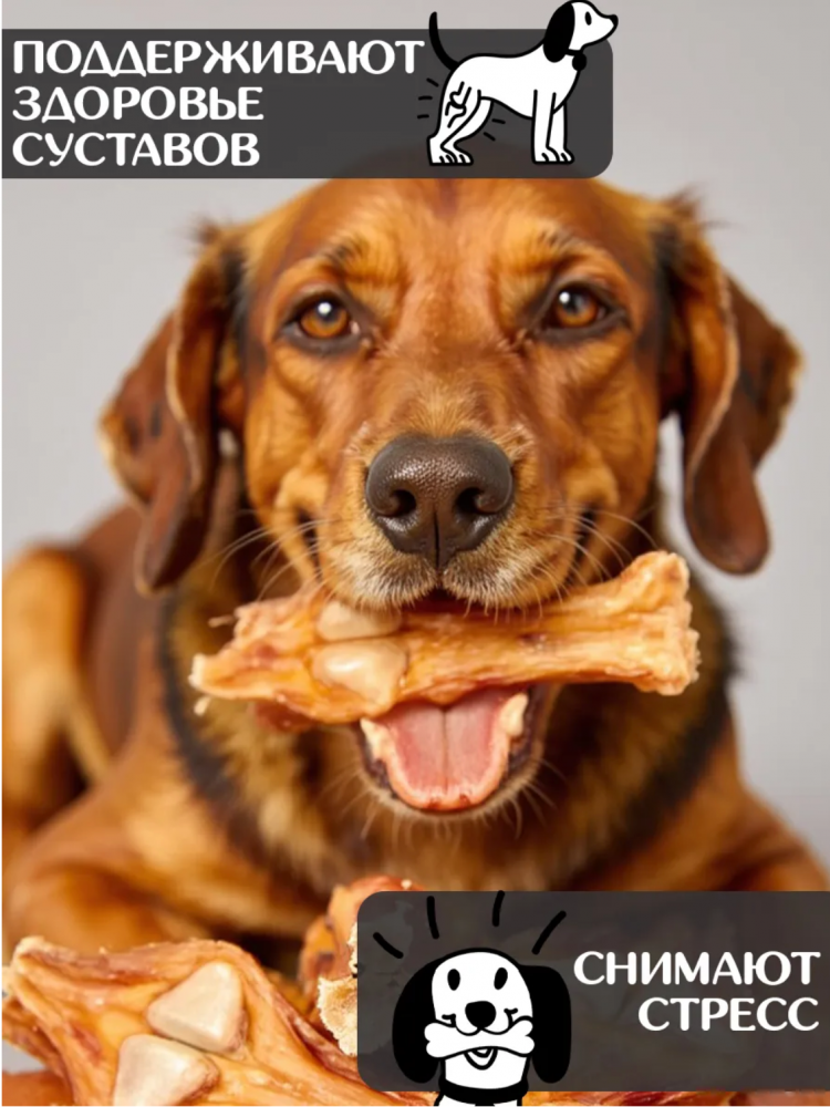 Лакомства For Rodent Dog конское сухожилие 20nсм 100 г С КОСТЬЮ для собак