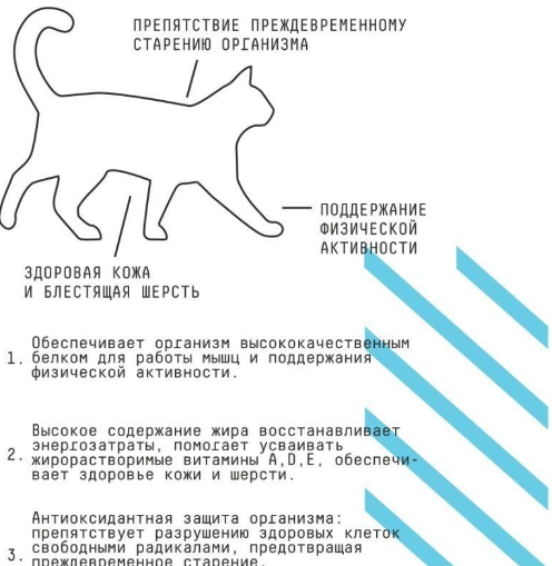 Ajo Cat Аctive Сухой корм низкозерновой для активных кошек с индейкой