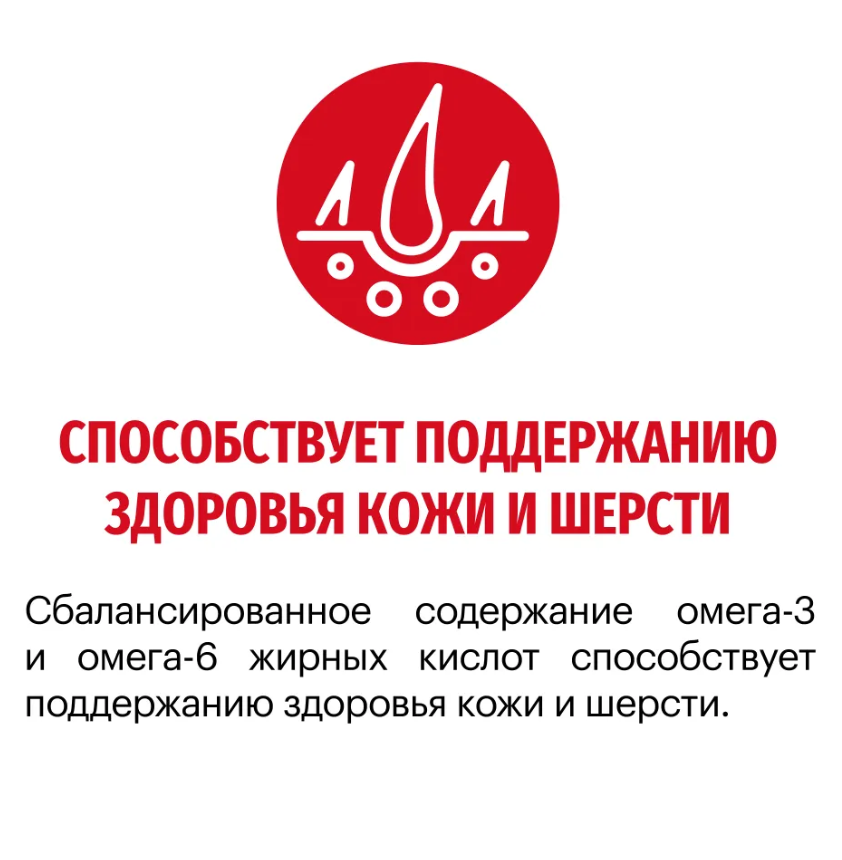 Корм Karmy ADULT MEDIUM для взрослых собак средних пород старше 1 года - индейка